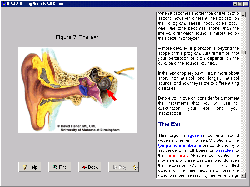 LungSounds Screenshot 1 LungSounds Screenshot 1