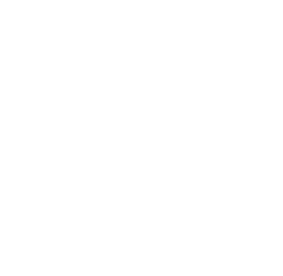 Image icon