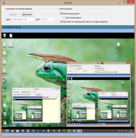 Remote Desktop Control Remote Desktop